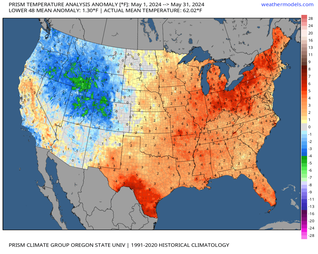 Prism Conus Tavg Anom May2024