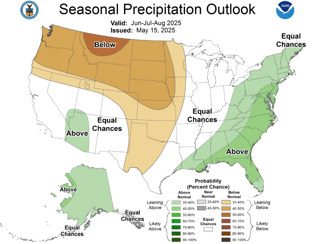 Summer precip