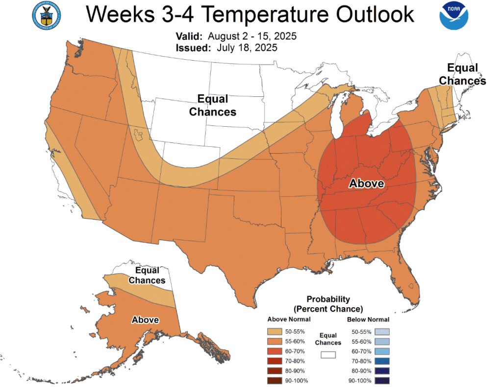 Week 3 4