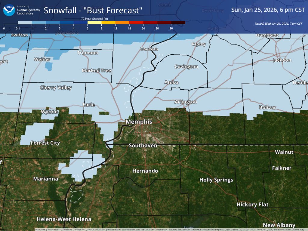 Snow bust