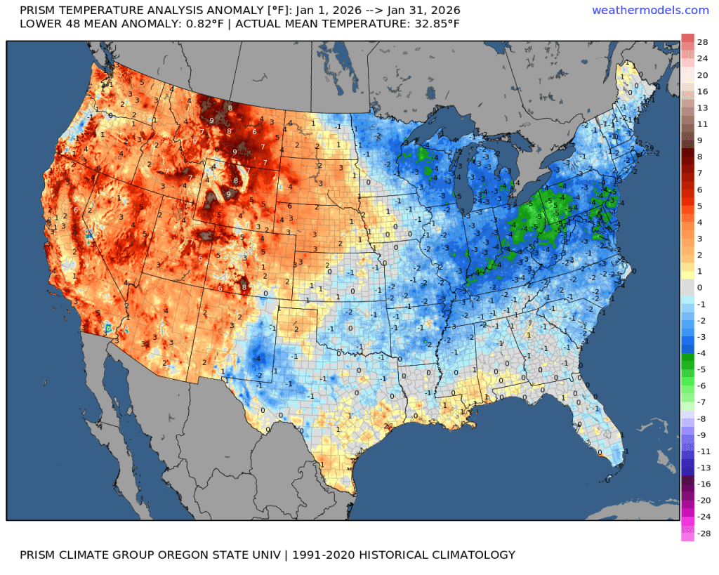 Prism conus tavg anom JAN2026